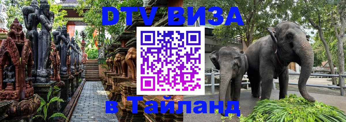 Стоимость и условия DTV визы — оформление в Таиланд под ключ - Сараево  20.11.2025 